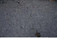 Photo Texture of Cracky Asphalt 