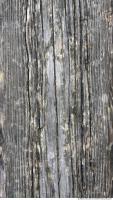 photo texture of wood bare