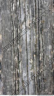 photo texture of wood bare