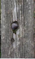 photo texture of wood bare