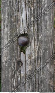 photo texture of wood bare