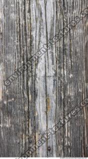 photo texture of wood bare