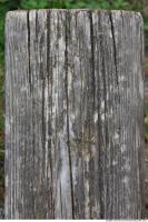 photo texture of wood bare