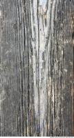 photo texture of wood bare