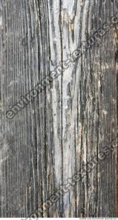 photo texture of wood bare