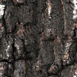 Seamless Bark