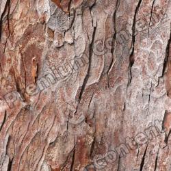 Seamless Bark