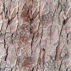 Seamless Bark