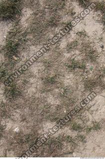 Photo Texture of Grass Dead