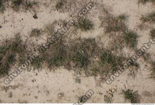 Photo Texture of Grass