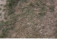 Photo Texture of Grass 