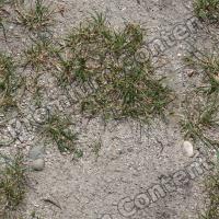 Seamless Grass 0001