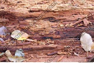 Wood 0005