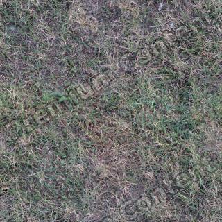 Seamless Grass 0001