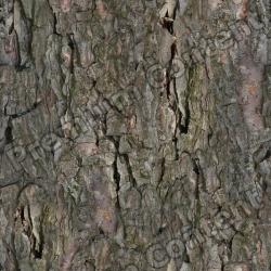 Seamless Bark