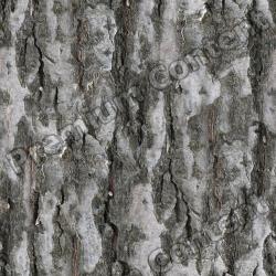 Seamless Bark