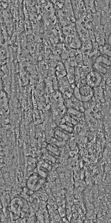 Seamless Bark 0002