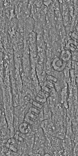 Seamless Bark