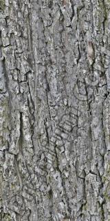 Seamless Bark
