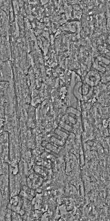 Seamless Bark 0002