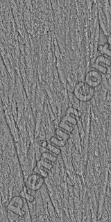 Seamless Bark 0002