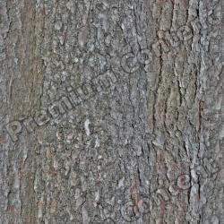 Seamless Bark