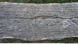 Rough Wood