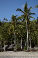 Photo Reference of Background Beach