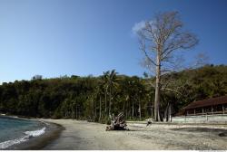 Photo reference of Background Beach