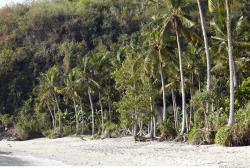 Photo reference of Background Beach