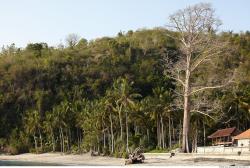 Photo reference of Background Beach