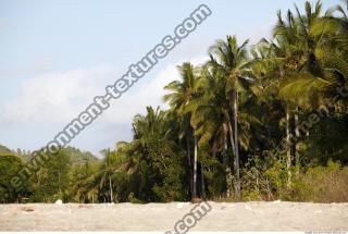 Photo reference of Background Beach 