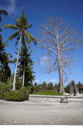 Photo reference of Background Beach