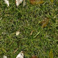 Seamless Grass 0001