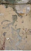 Walls Stucco 0019