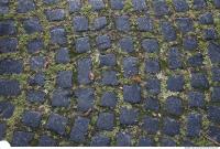 Photo Texture of Overgrown Floor