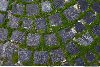 Photo Texture of Overgrown Floor