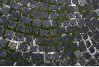 Photo Texture of Overgrown Floor