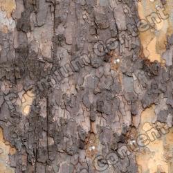 Seamless Bark