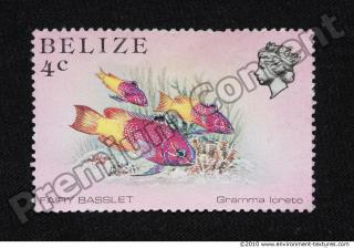 Photo Texture of Postage Stamp