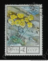 Photo Textures of Postage Stamp