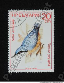 Photo Texture of Postage Stamp