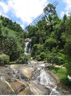 Photo Reference of Background Forest