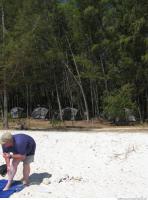 Photo Reference of Background Beach