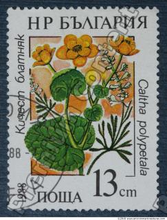 Photo Texture of Postage Stamp