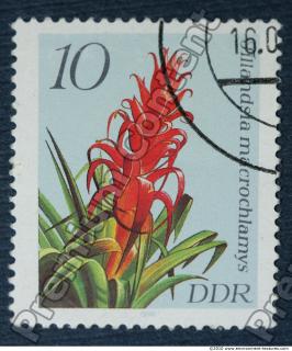 Photo Texture of Postage Stamp