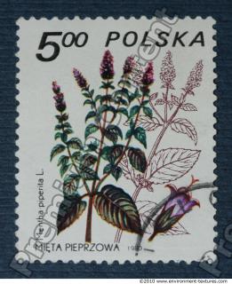 Photo Texture of Postage Stamp