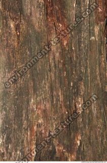 Wood 0011