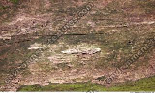 Wood 0005