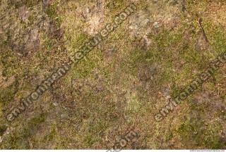 Rocks